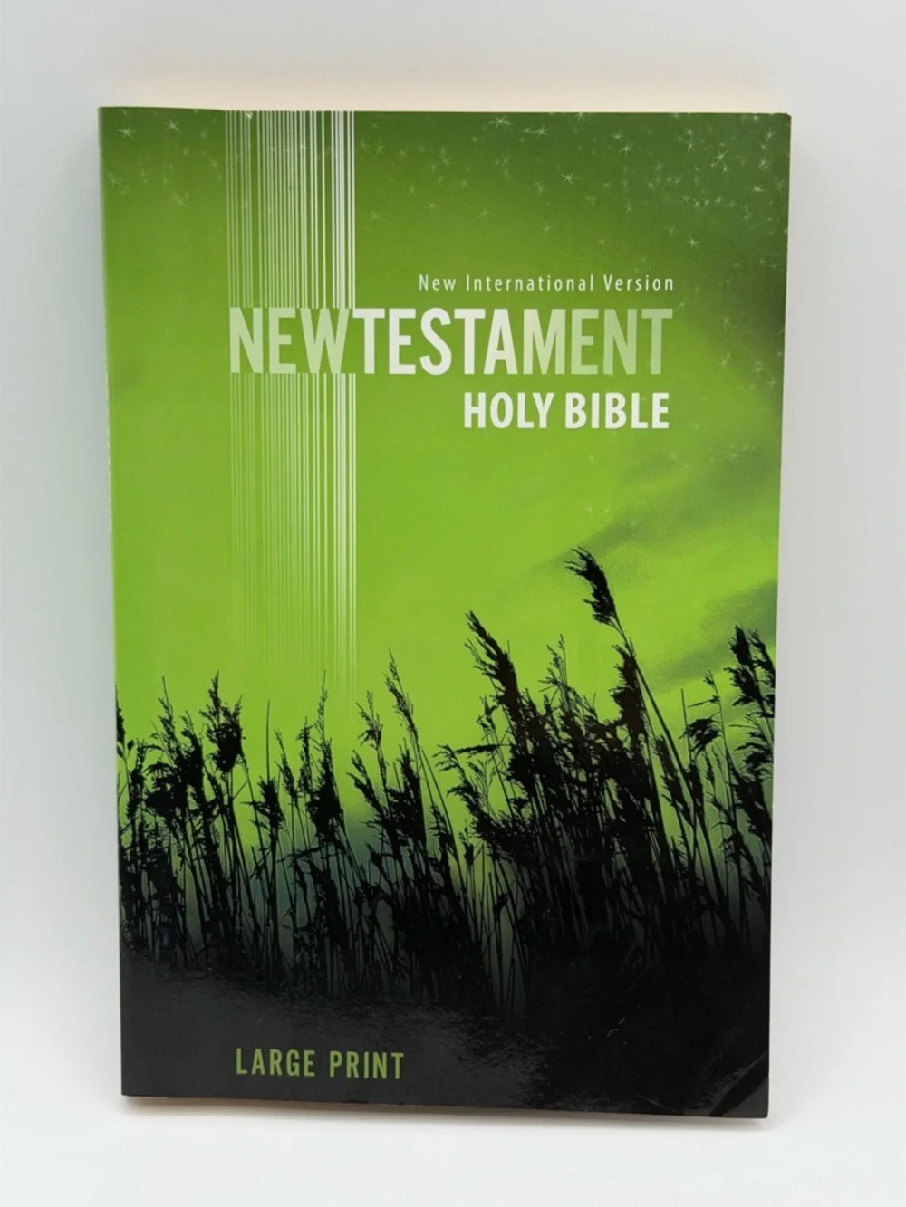 New International Version New Testament Holy Bible Large Print (2011, Paperback)